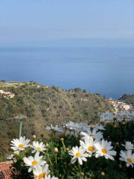 Dimora Disiu - Jacuzzi & Sea View - 4 Minuti A Piedi Dal Centro Feriehus